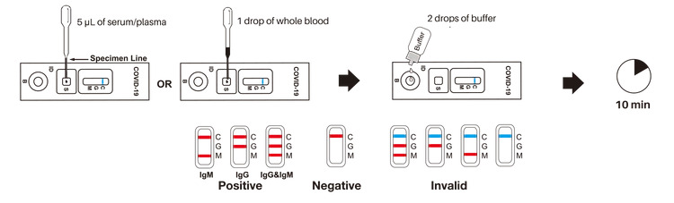 The COVID-19 IgG/IgM (Whole Blood/Serum/Plasma) Rapid Test Instructions